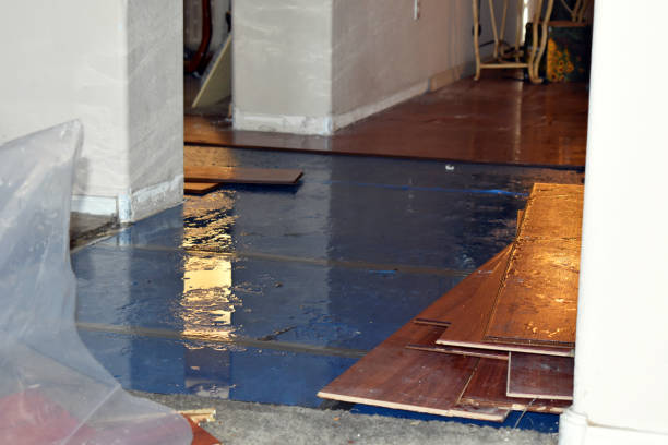 Professional Water Damage Restoration technician working in Rockwood, ME